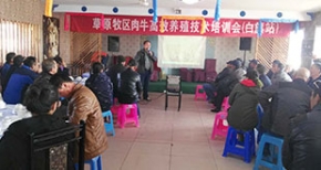 白旗召开肉牛养殖技术培训会